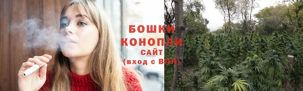 PSILOCYBIN Липки