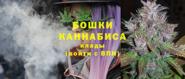 PSILOCYBIN Липки