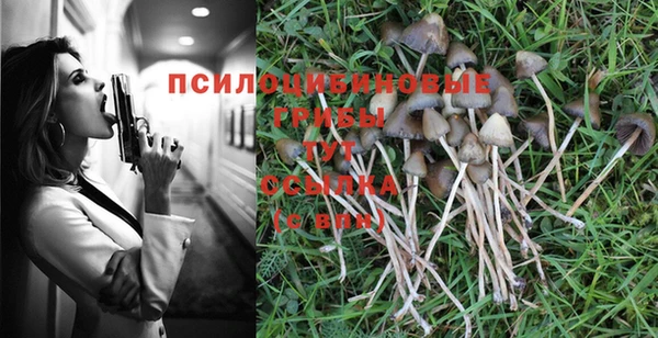 ПСИЛОЦИБИНОВЫЕ ГРИБЫ Лиски