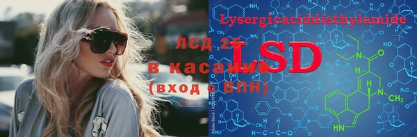 PSILOCYBIN Липки