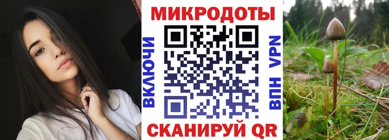Псилоцибиновые грибы Psilocybe  MEGA ссылка  Чердынь  как найти закладки 